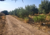 Xalet independent amb terreny en venda a Granja de Torrehermosa ref.: TR287170 foto