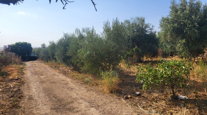 Badajoz - Granja de Torrehermosa - 1042m2