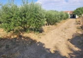 Xalet independent amb terreny en venda a Granja de Torrehermosa ref.: TR287170 foto