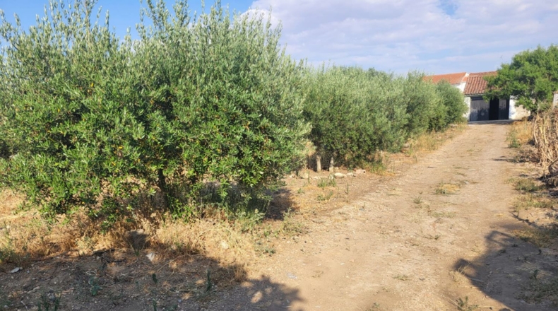 Badajoz - Granja de Torrehermosa - 1042m2