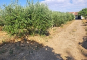 Xalet independent amb terreny en venda a Granja de Torrehermosa ref.: TR287170 foto