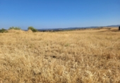 Non-developable land for sale in Valverde de Llerena ref: TR307950 photo