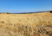 Non-developable land for sale in Valverde de Llerena ref: TR307950 photo
