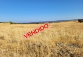 Non-developable land for sale in Valverde de Llerena ref: TR307950 photo