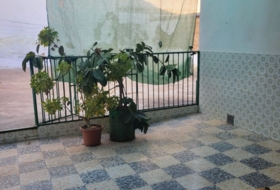 Foto 19
