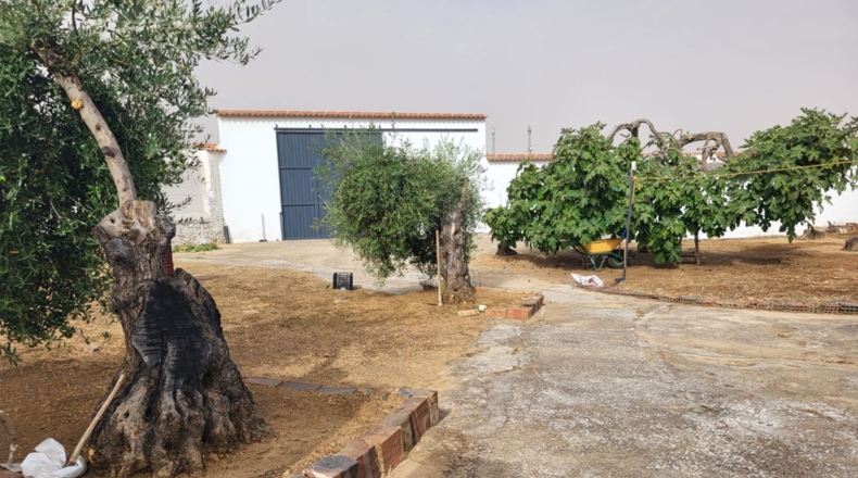Badajoz - Granja de Torrehermosa - 659m2
