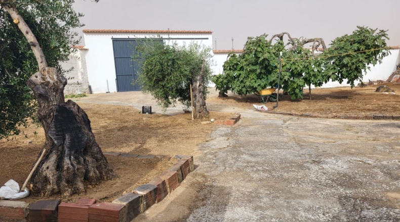 Badajoz - Granja de Torrehermosa - 659m2