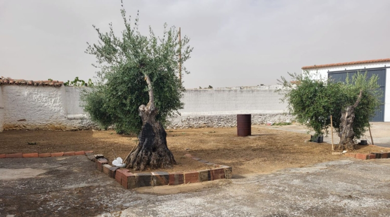 Badajoz - Granja de Torrehermosa - 659m2