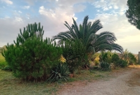 Foto 19