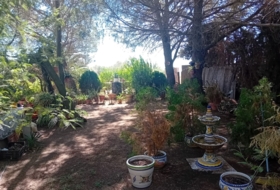 Foto 18