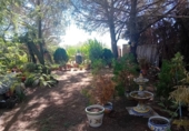 Masia with land for sale in Granja de Torrehermosa ref: TR351366 photo
