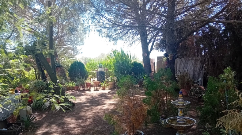 Badajoz - Granja de Torrehermosa - 6422m2