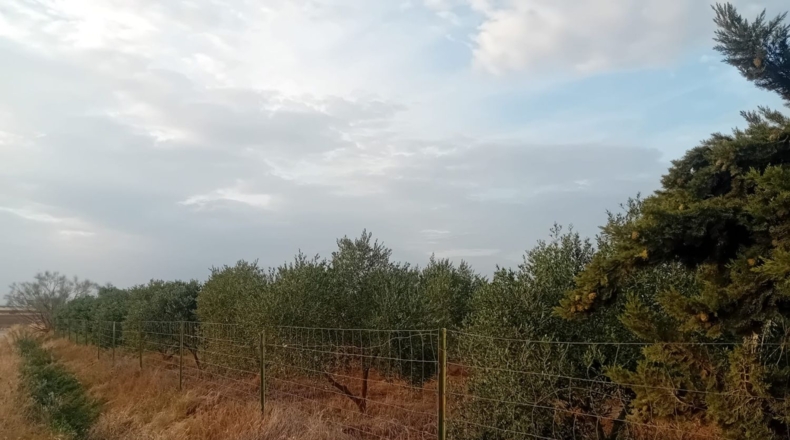 Badajoz - Granja de Torrehermosa - 6422m2
