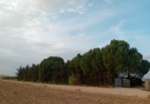 Masia with land for sale in Granja de Torrehermosa ref: TR351366 photo