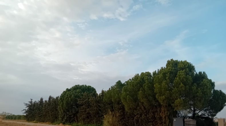 Badajoz - Granja de Torrehermosa - 6422m2