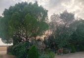 Masia with land for sale in Granja de Torrehermosa ref: TR351366 photo