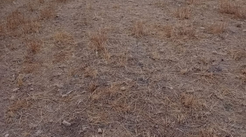 Badajoz - Granja de Torrehermosa - 6422m2