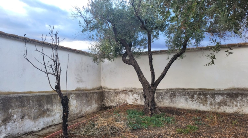 Badajoz - Azuaga - 212m2