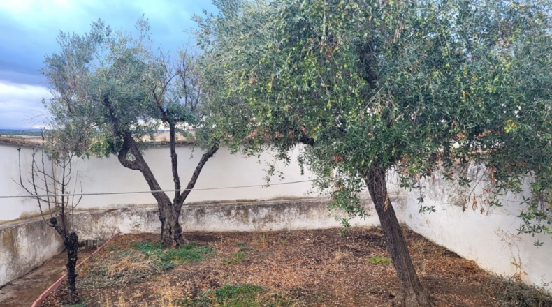 Badajoz - Azuaga - 212m2