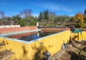 Masia with land for sale in Siruela ref: TR364551 photo