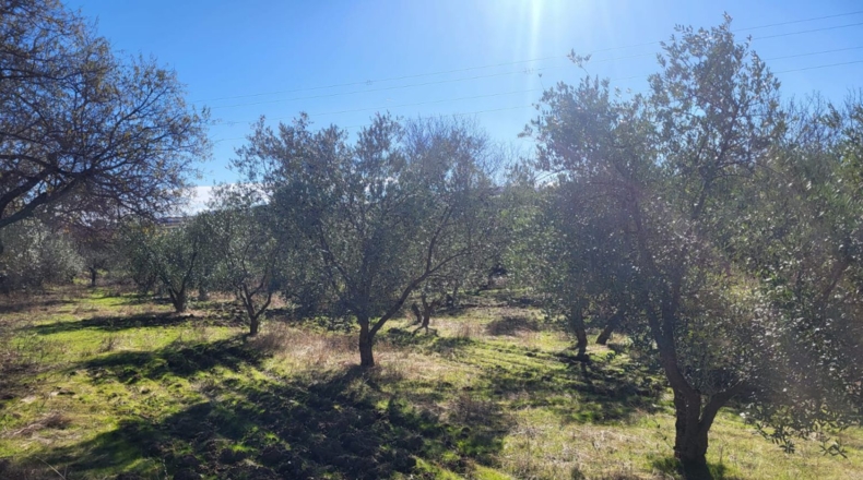 Badajoz - Azuaga - 10677m2