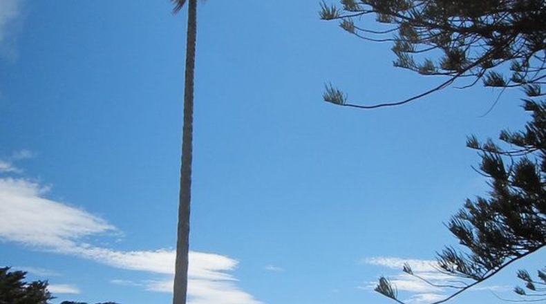 Cádiz - El Pelayo - 10873m2