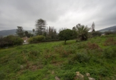 Xalet independent amb terreny en venda a la España, Algesires, ref.: TR108048 foto