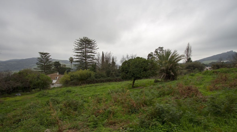 Cádiz - El Pelayo - 10873m2