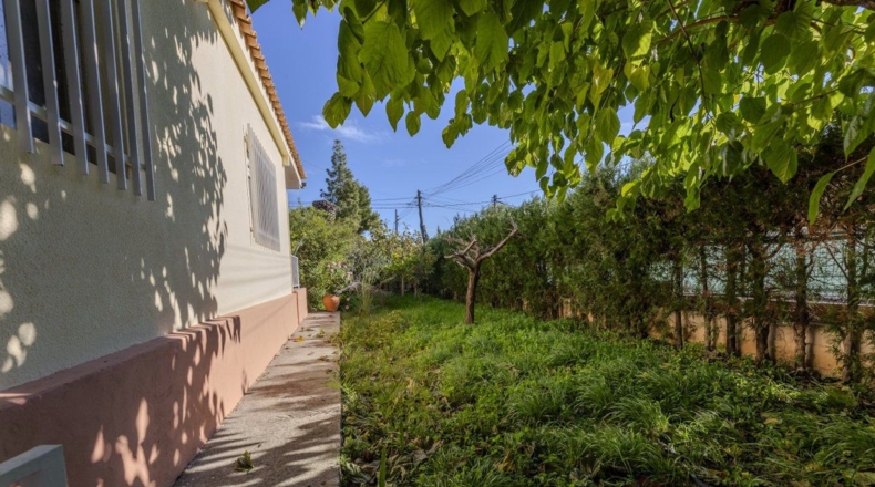 Valencia - Ribarroja del Turia - 507m2