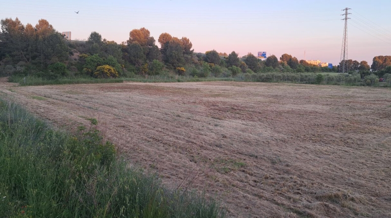 Huesca - Huerrios - 5000m2