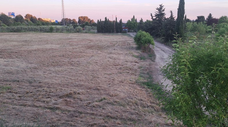 Huesca - Huerrios - 5000m2