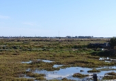 Rural estate for sale in Ayamonte ref: TR199296 photo