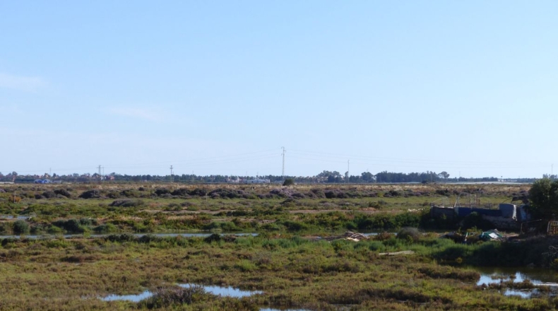 Huelva - Ayamonte - 4407m2