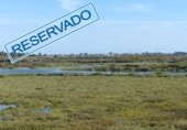 Rural estate for sale in Ayamonte ref: TR199296 photo