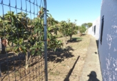 Rural estate for sale in Ayamonte ref: TR199296 photo