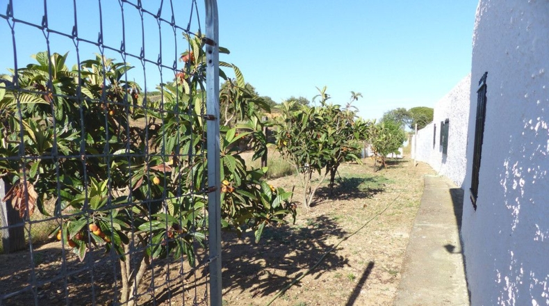 Huelva - Ayamonte - 4407m2