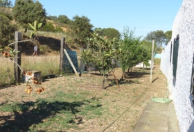 Foto 13