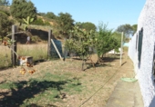 Rural estate for sale in Ayamonte ref: TR199296 photo