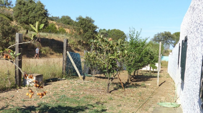 Huelva - Ayamonte - 4407m2