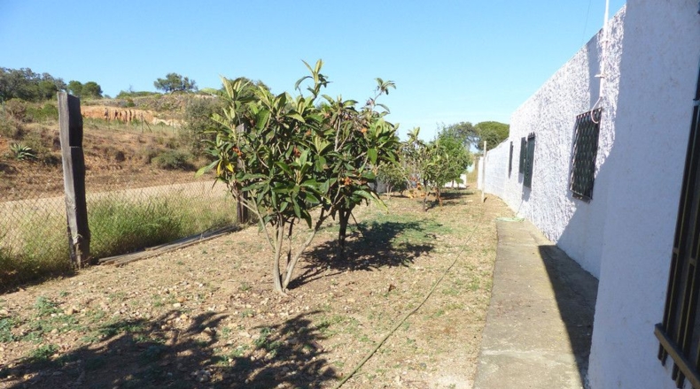 Huelva - Ayamonte - 4407m2