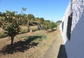 Rural estate for sale in Ayamonte ref: TR199296 photo