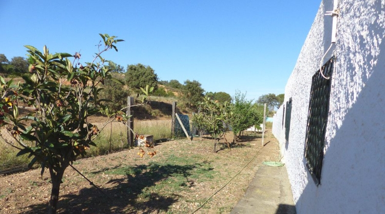 Huelva - Ayamonte - 4407m2