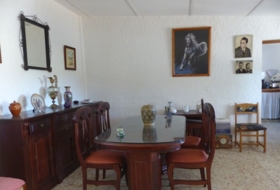 Foto 20