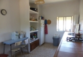 Rural estate for sale in Ayamonte ref: TR199296 photo
