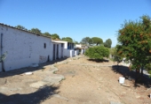 Rural estate for sale in Ayamonte ref: TR199296 photo