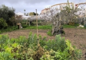 Casa de campo con terreno en venta en Ayamonte ref: TR253643 foto