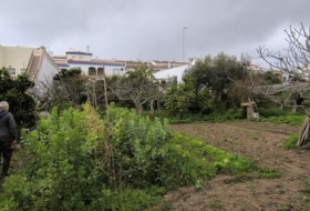 Foto 18