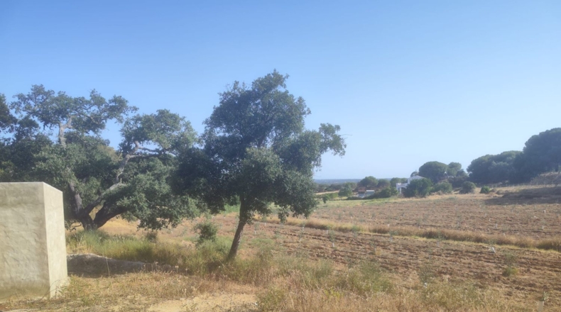 Huelva - Villablanca - 1309m2