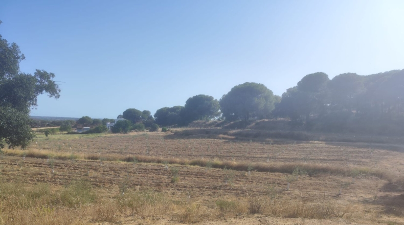 Huelva - Villablanca - 1309m2