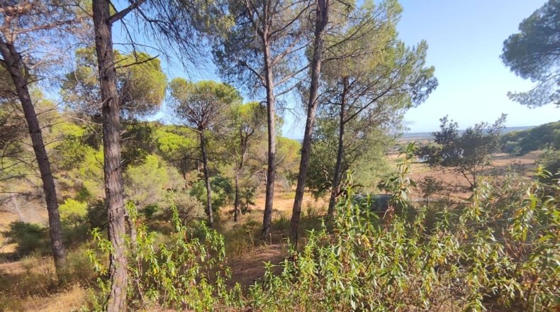 Huelva - Villablanca - 1309m2